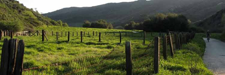 LagunaCanyonGreenFence